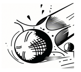 Spolek Střemcha 2018 zve na 8.ročník turnaje v pétanque "Třemošnice open" dne 19.7.